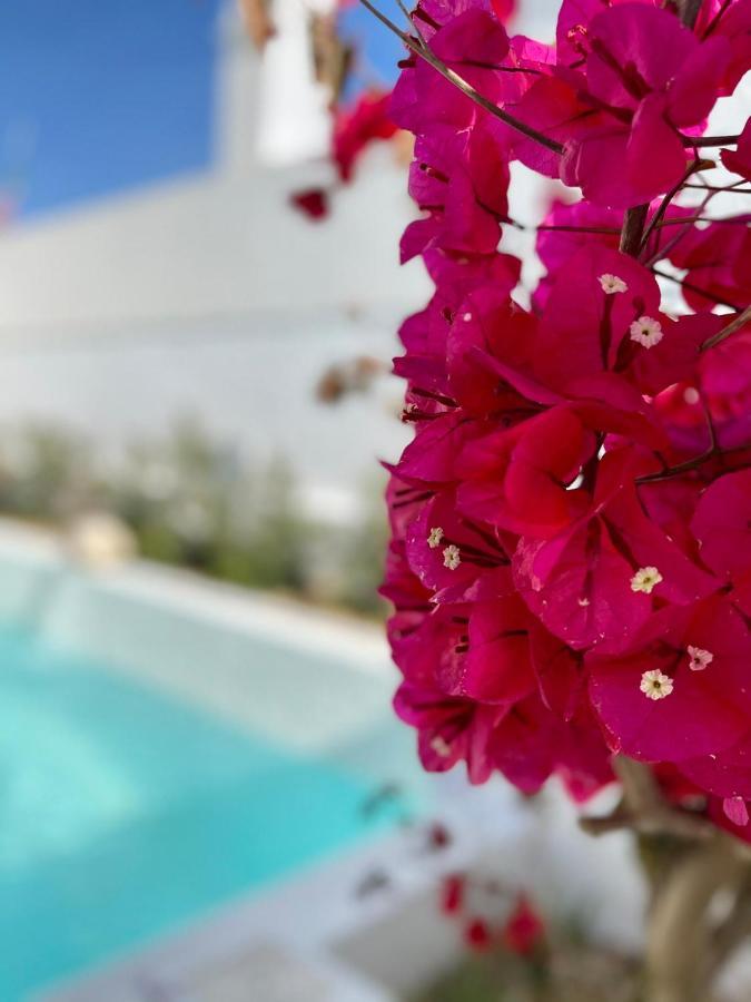 Villa Sal - Alvor Zewnętrze zdjęcie